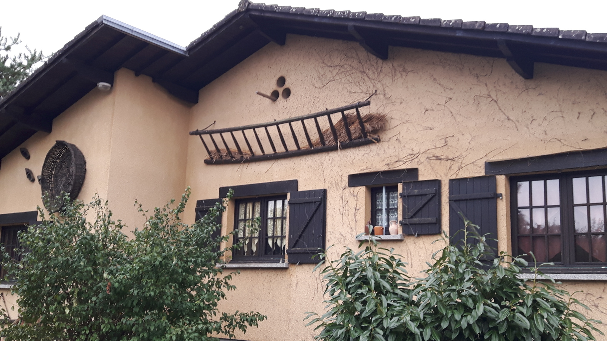 Photo bien immobilier